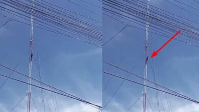 Photo of Haitiano se sube a antena telefónica para escapar de Migración – Video